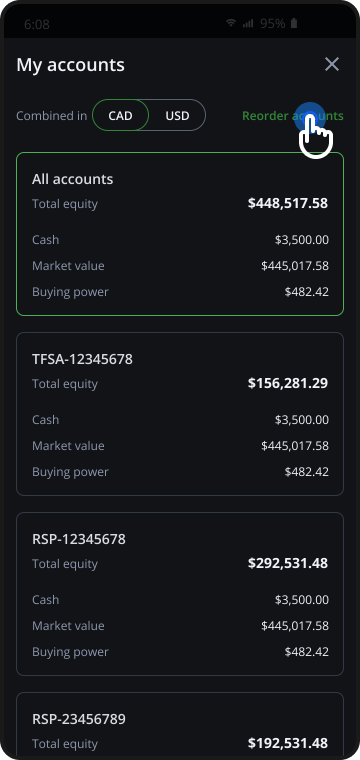Account list showing every account with its balance detail